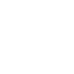 British Insurance Logo