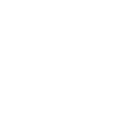 Silicon Valley Bank (SVB) Logo