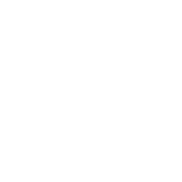 blue-diamond Logo