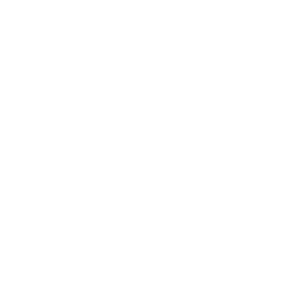 Brisbane city council logo
