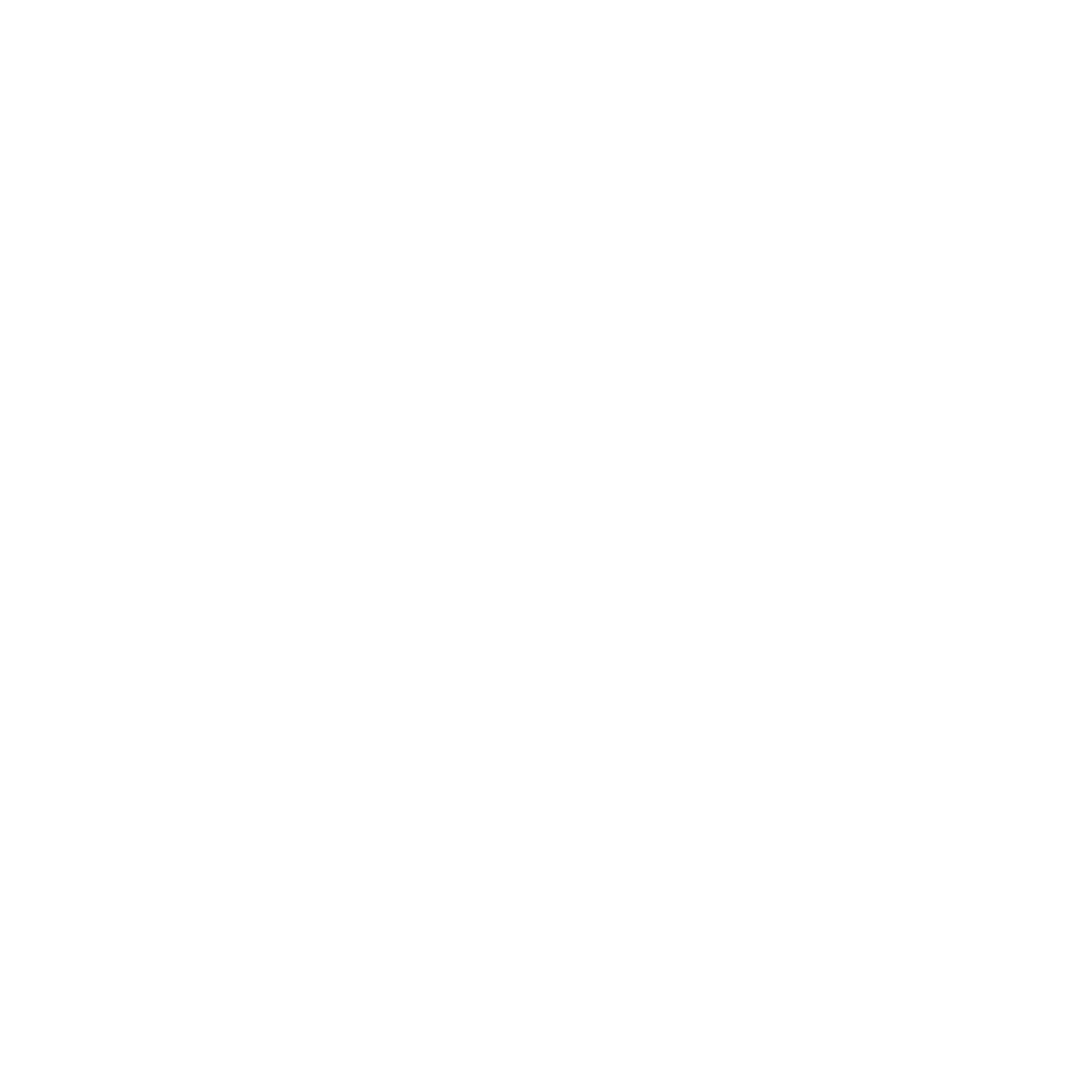 Akzo Nobel Logo