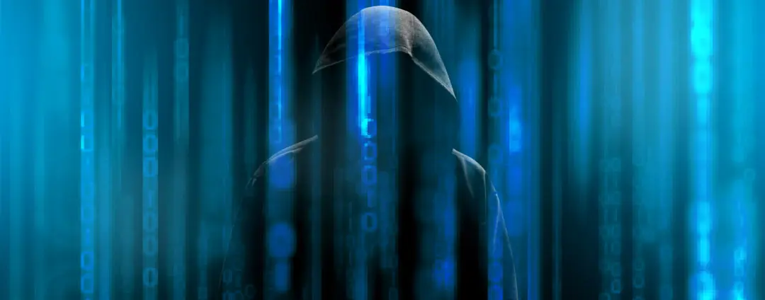 Ransomware hacker
