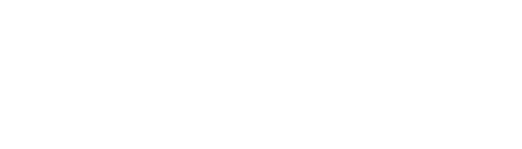 Universidade da Carolina do Sul