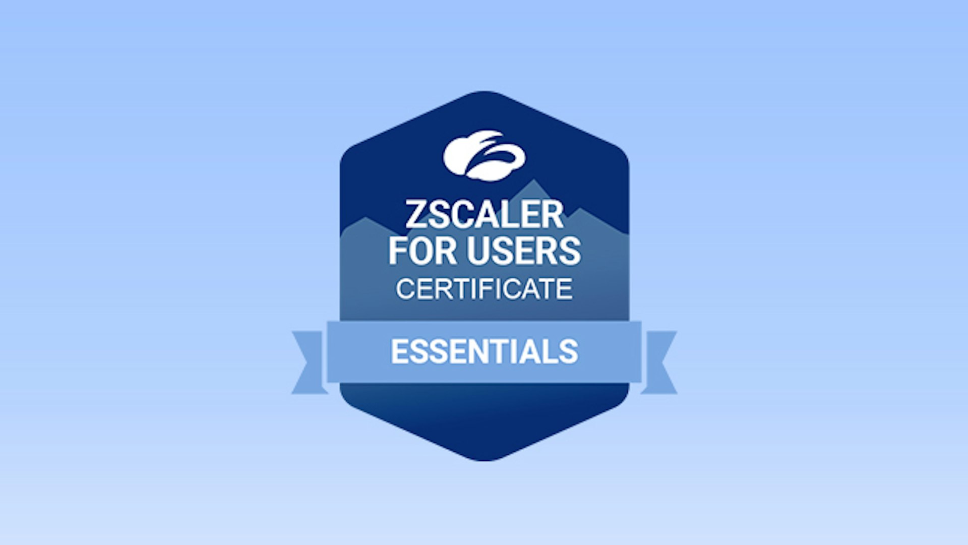 Treinamento Zscaler for Users – Essentials (EDU-200)